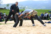IMG_0019