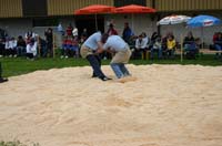 IMG_003