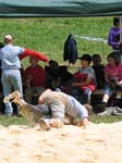 IMG_0535