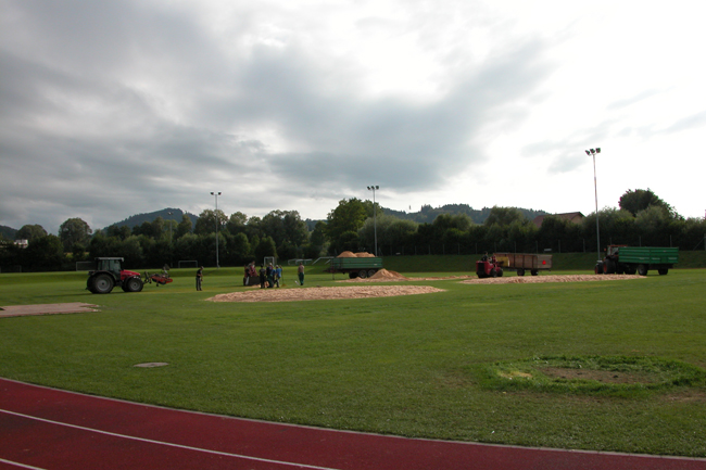 DSCN2000 (80)