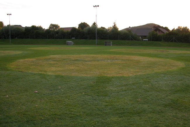 DSCN2000 (92)