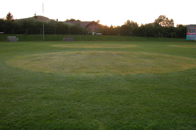 DSCN2000 (93)