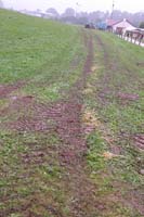 DSCN0099