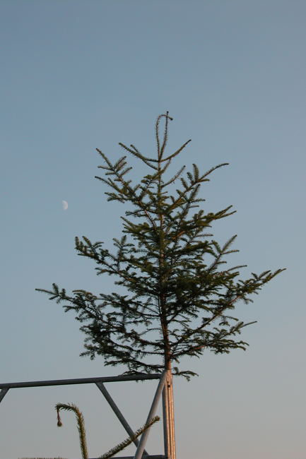 DSCN5581