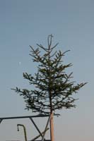 DSCN5581