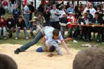 IMG_0462